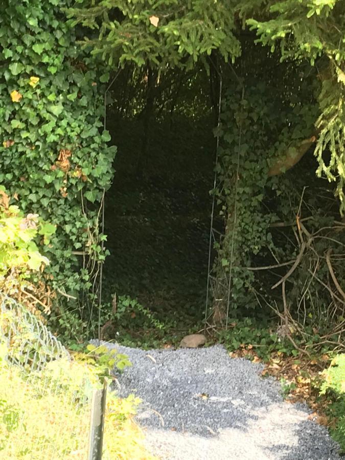 Le Paradis Mosan Waulsort 외부 사진